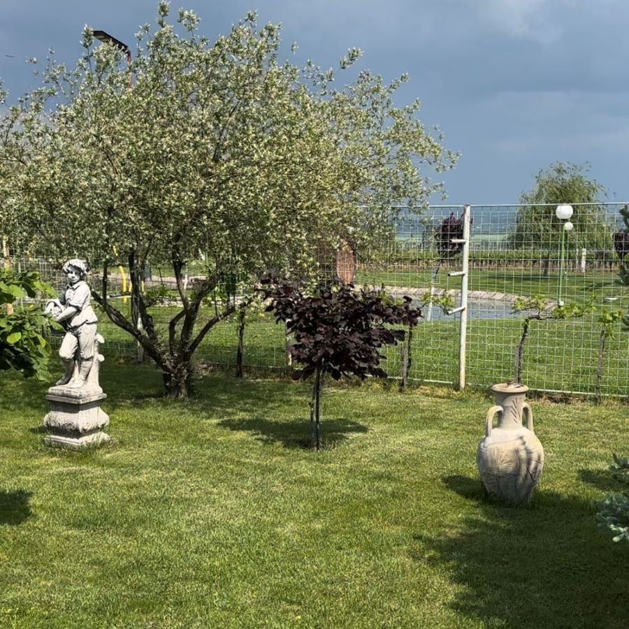 Casa de Vinuri Iordache