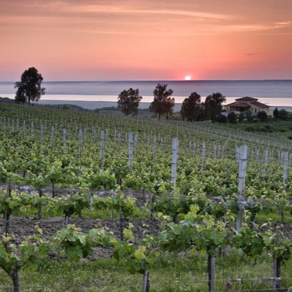 Crama Prince Știrbey